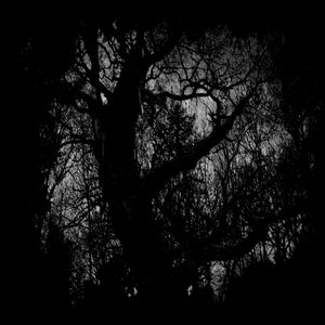 A World Yet Forgotten
