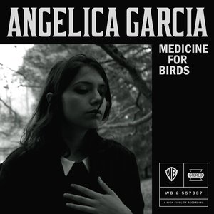 “Medicine for Birds”的封面