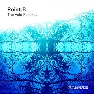 The Veld Remixes