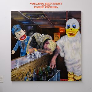 Image for 'VOLCANIC BIRD ENEMY AND THE VOICED CONCERN'