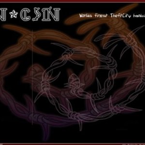 N-GIN 的头像