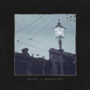 Blue Black Crows
