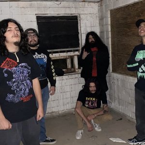 NecroVisioN 的头像