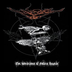 The Skeletons of Fallen Angels