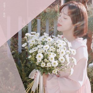 봄비 Rain of spring