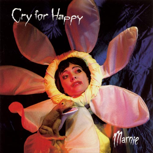 Lukas Graham - Cry For Happy - Zortam Music