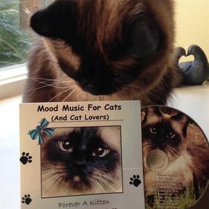 Mood Music for Cats (And Cat Lovers) 2