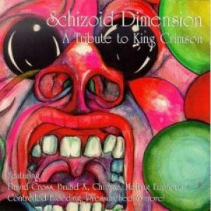 Image for 'Schizoid Dimension: A Tribute to King Crimson'