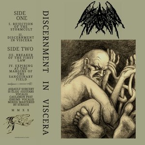 Discernment in Viscera
