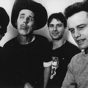 Cows photo provided by Last.fm