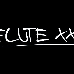 Bild för 'FLUTE XXI project'