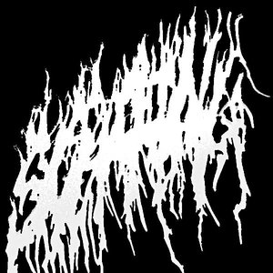 Scarring 的头像