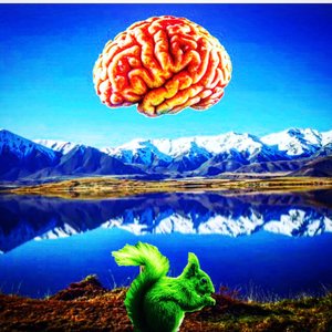 brain