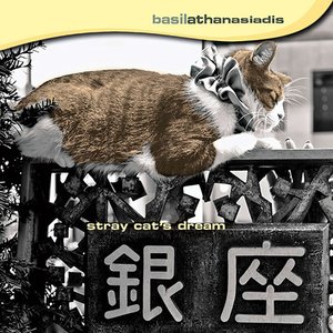 Stray Cat's Dream