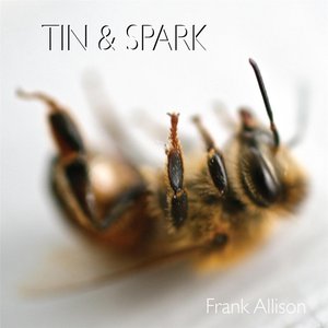 Tin & Spark