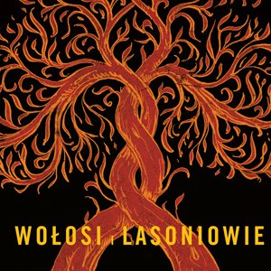 Wołosi i Lasoniowie 的头像