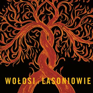 Avatar de Wołosi i Lasoniowie