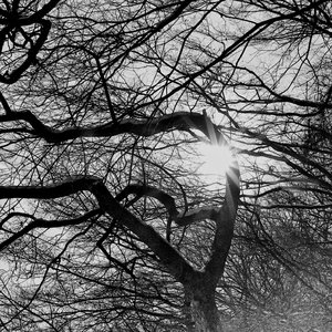 Pray For The HOLLOW Sun