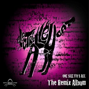 One Size Fits All 'the Remix Album'