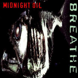 Midnight Oil - Emmylou Harris & Midnight Oil - Home Lyrics - Zortam Music