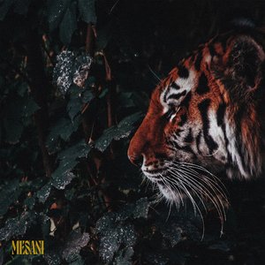 Jungle - EP