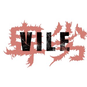 Avatar for Vile卑劣