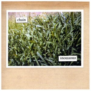 Enormous Chain