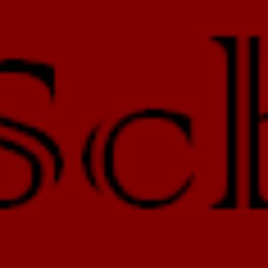 Avatar for Die:schon