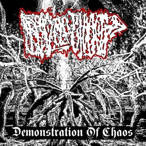 Demonstration of Chaos