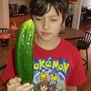 10 Inch Inchworm