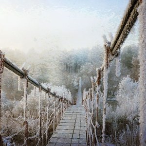 Stark's Pond 的头像