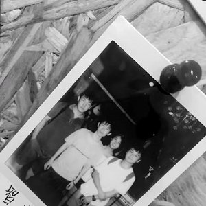 智齿 的头像