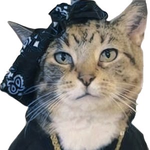 Avatar for Bastetrak