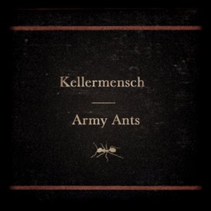 Army Ants