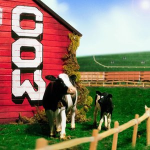 Cow