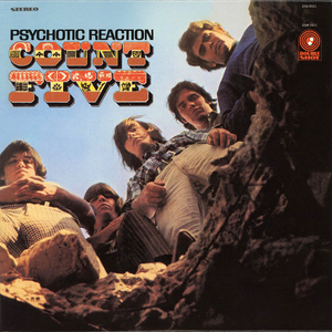 Count Five - - 64 - Psychotic Reaction Lyrics - Zortam Music