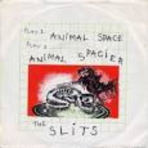 animal space