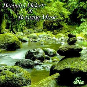 Beautiful Melody & Relaxing Music