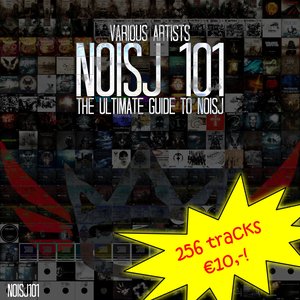 The Ultimate Guide to Noisj