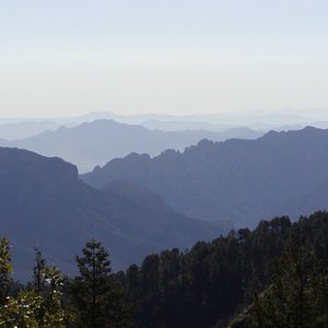Wild Mountain Echoes 的头像