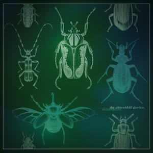 metamorphosis