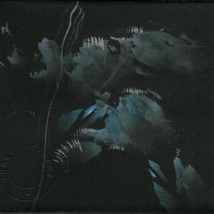Shadows From the Album Skies II cover