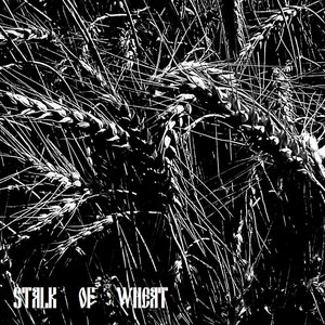 Stalk of Wheat
