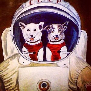 Аватар для The Soviet Space Dog Project