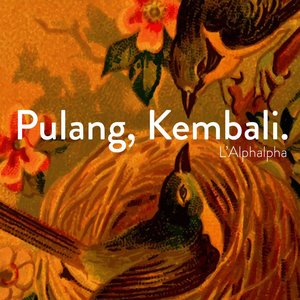 Pulang, Kembali