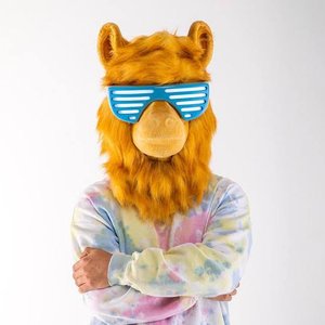 L.L.A.M.A 的头像