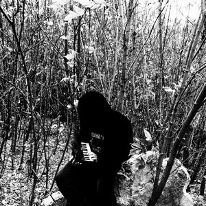 Avatar di Dungeoncrawler