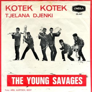Kotek Kotek