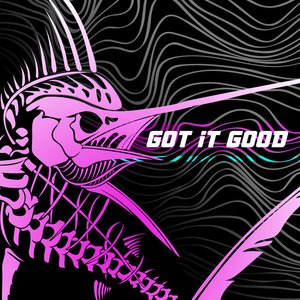 Got It Good - Single