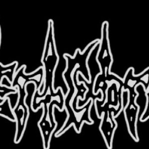 Vertebrae 的头像